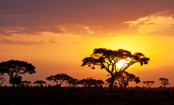 Tsavo's red earth and big tuskers.