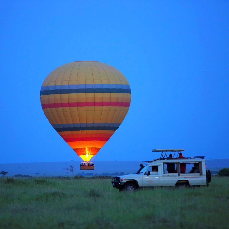 Recent sighting photographed on a Chase Wild safari